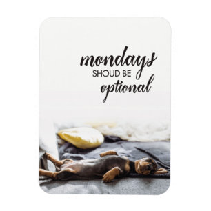 Imán Perrito doxiante durmiente Los lunes deben ser opc