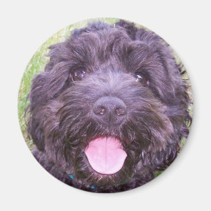 Imán Perrito sonriente