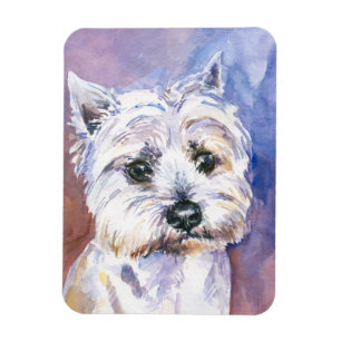 Imán Perro
