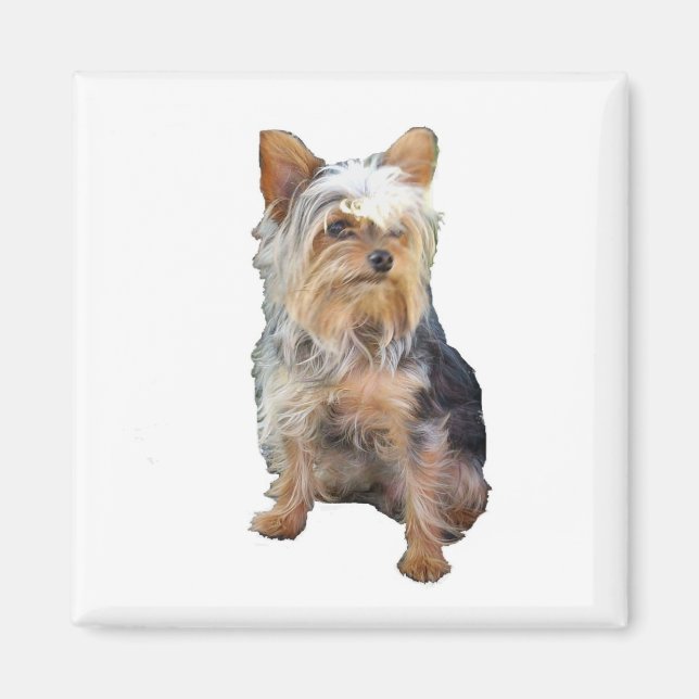 Imán Perro 4 A Magnet (Frente)