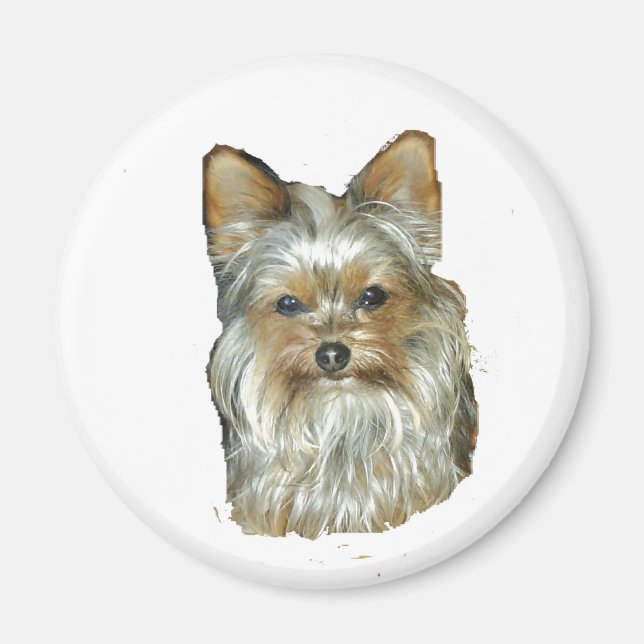 Imán Perro 4B,Yorkshire Terrier,Magnet (Frente)