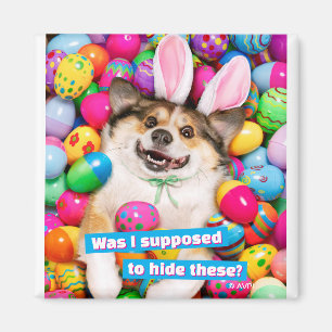 Imán Perro acostado sobre huevos de Pascua