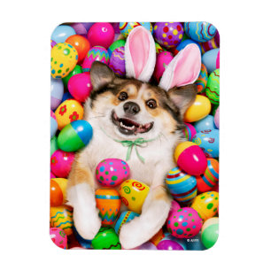 Imán Perro acostado sobre huevos de Pascua