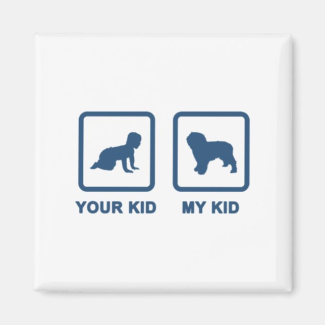 Imán Perro acuático español (Frente)