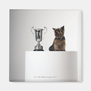 Imán Perro al lado de un trofeo de plata grande