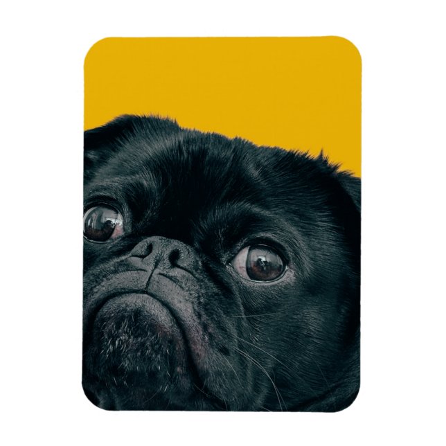 Imán perro amarillo (Vertical)