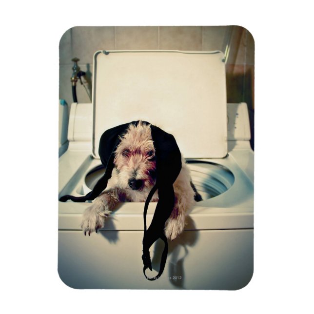 Imán Perro ayudando con el lavado (Vertical)