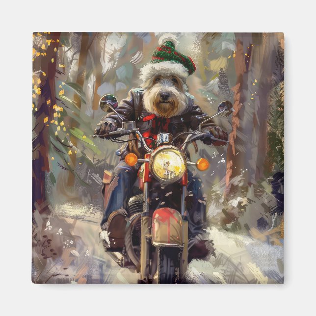 Imán Perro Bernedoodle montando motocicleta Navidad (Frente)
