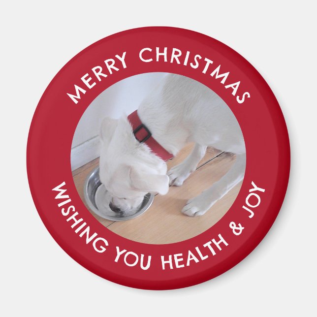 Imán Perro blanco lindo foto saludable Feliz Navidad Ro (Frente)