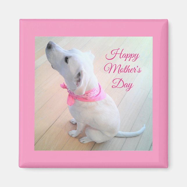 Imán Perro blanco lindo llevando el día de la madre con (Frente)