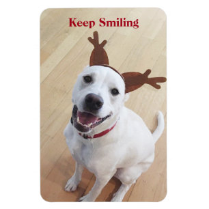 Imán Perro blanco lindo sigue sonriendo Navidades Motiv