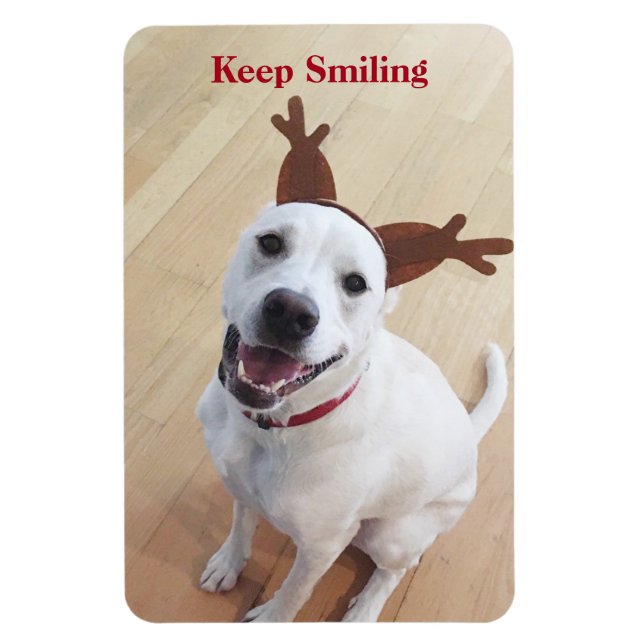 Imán Perro blanco lindo sigue sonriendo Navidades Motiv (Vertical)