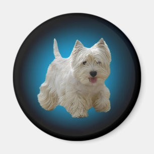 Imán Perro blanco maltés
