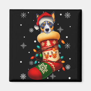 Imán Perro Blue Heeler con sombrero de Santa en calceti
