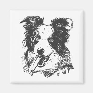 Imán Perro Border Collie - Amante de Aussie