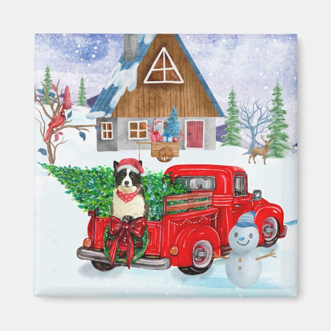 Imán Perro Border Collie en camión de entrega de Navida (Frente)
