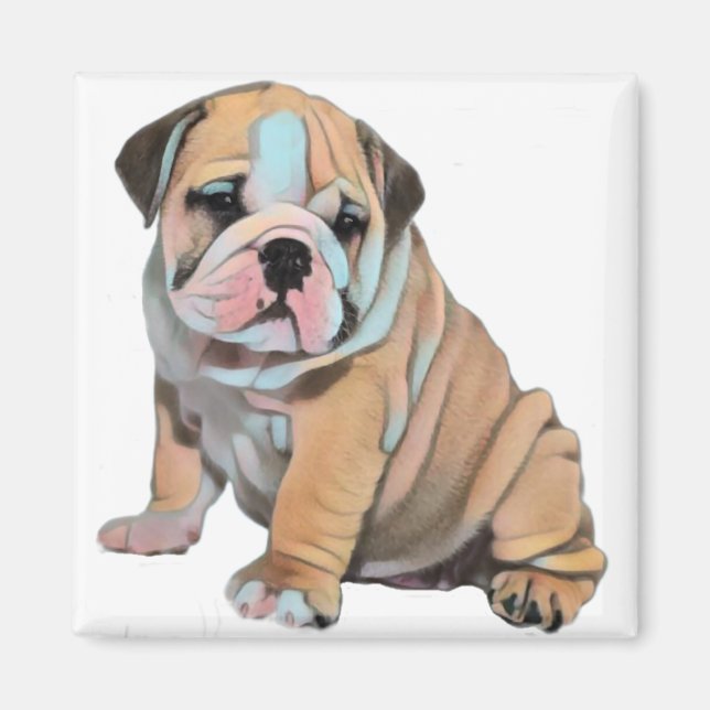 Imán Perro Bulldog inglés (Frente)