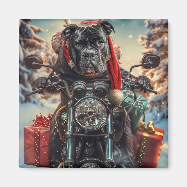 Imán Perro Cane Corso montando motocicleta en Navidad (Frente)