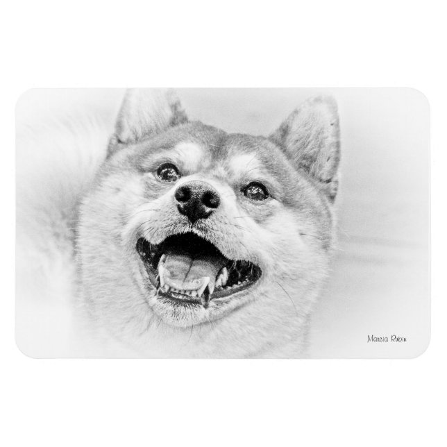 Imán Perro chiba inu sonriente (Horizontal)