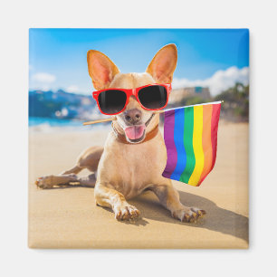 Imán Perro Chihuahua en la playa
