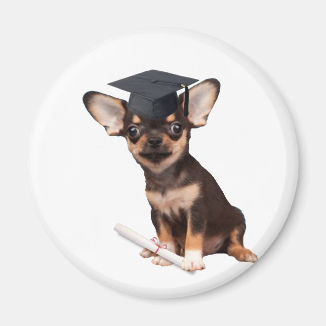 Imán Perro Chihuahua graduado (Frente)