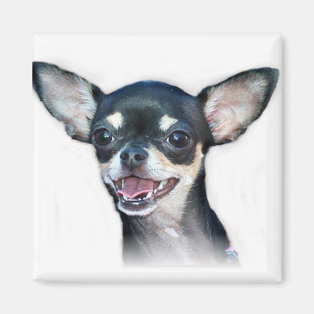 Imán Perro chihuahua Magnet (Frente)