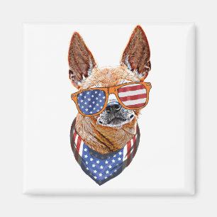 Imán Perro Chihuahua USA Independencia Americana 4 de J