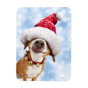 Imán Perro con gran sombrero Santa