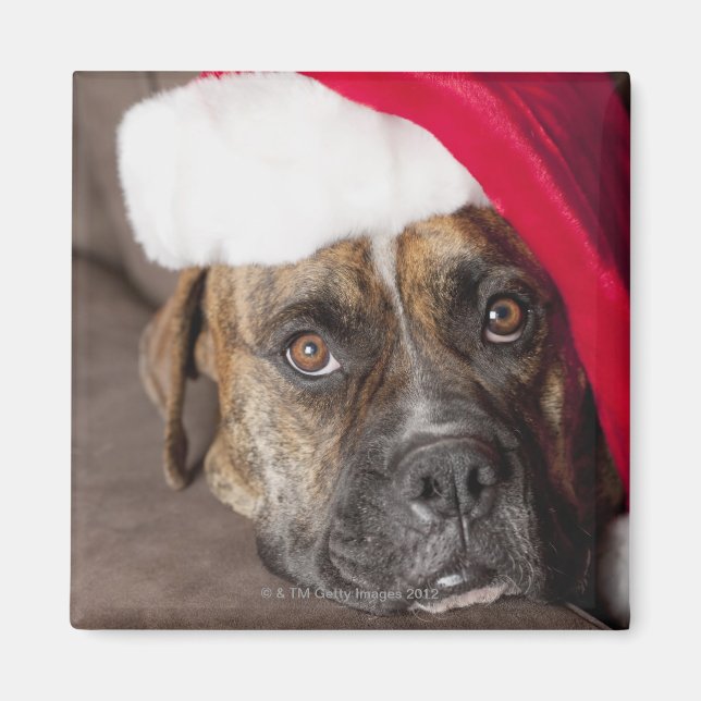 Imán Perro con sombrero Santa (Frente)
