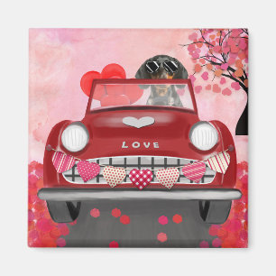 Imán Perro Dachshund conduciendo coche con corazones de