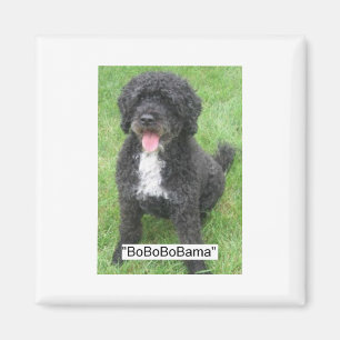 Imán Perro de agua portuguesa Mascota de Obama