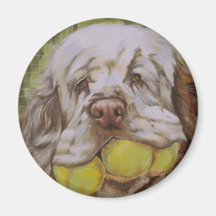 Imán Perro de aguas de Clumber