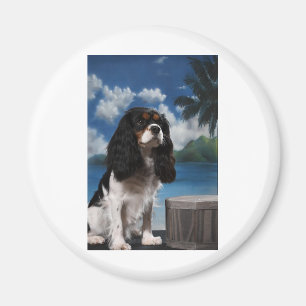 Imán Perro de aguas de rey arrogante Charles del tri