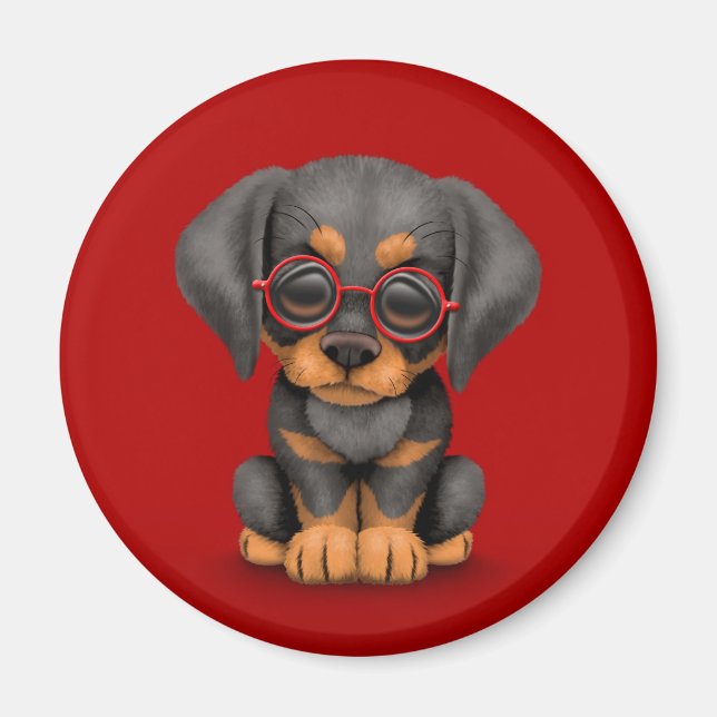 Imán Perro de cachorro Doberman con lentes de lectura,  (Frente)