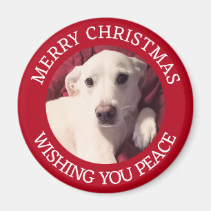 Imán Perro de cachorro lindo Feliz Navidad Paz Rojo