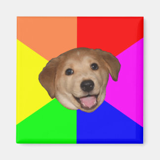 Imán Perro de consejo