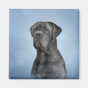 Imán Perro de dibujo Canso Corso - Mastiff italiano