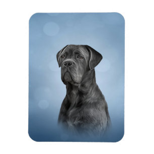 Imán Perro de dibujo Canso Corso - Mastiff italiano