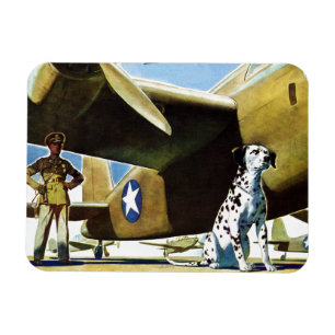 Imán Perro de ejército