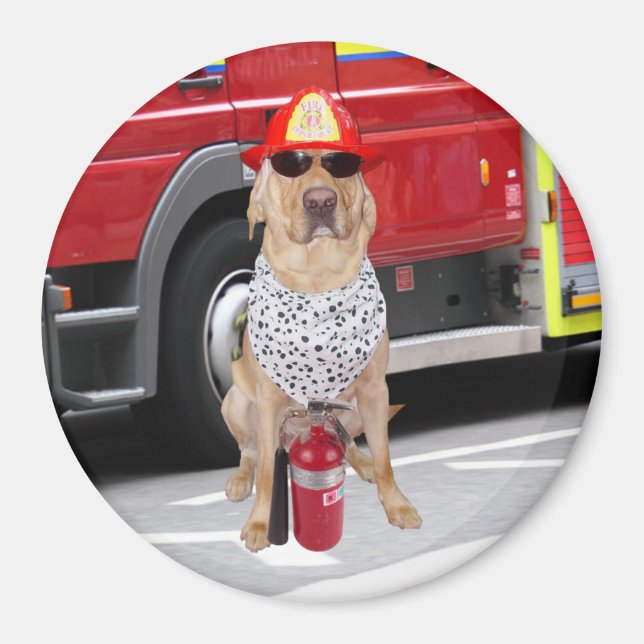 Imán Perro de Firehouse (Frente)