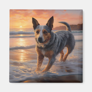 Imán Perro de Ganado Australiano Sandy Paws en Puesta d
