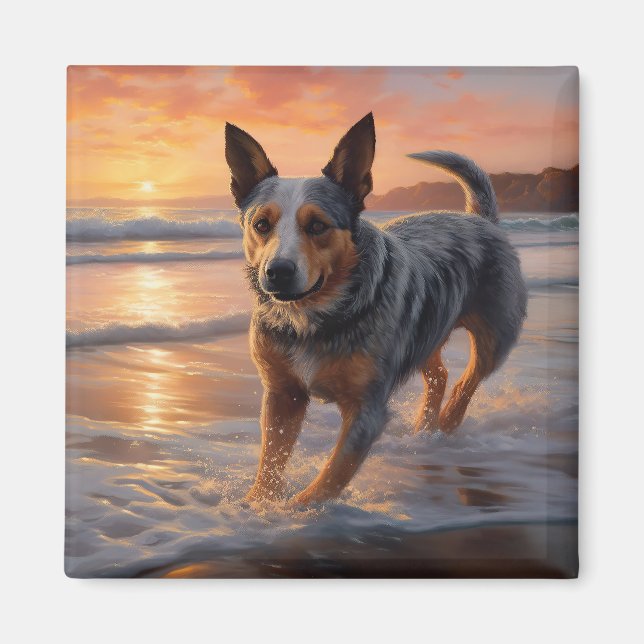 Imán Perro de Ganado Australiano Sandy Paws en Puesta d (Frente)