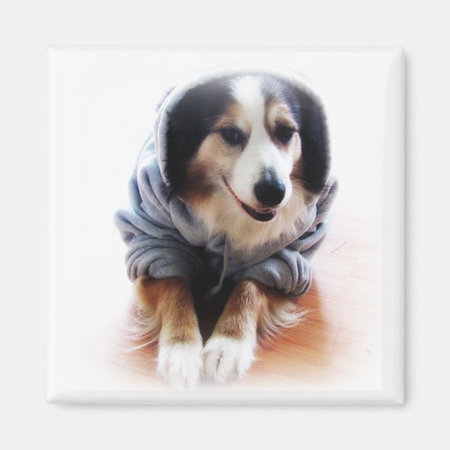 Imán Perro de Gangsta con Hoodie (Frente)