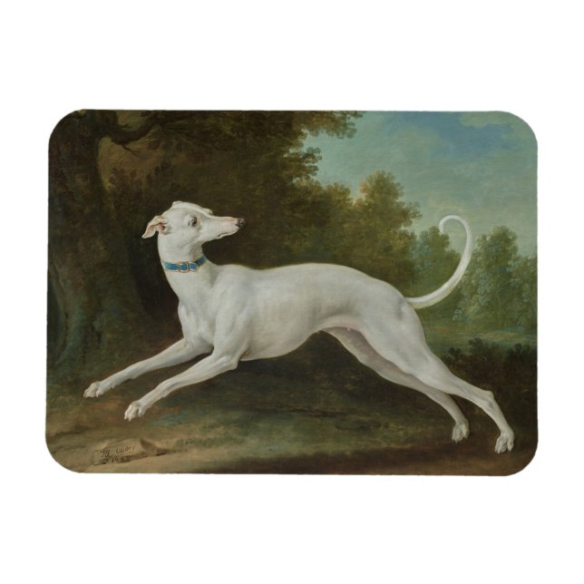 Imán Perro de Greyhound Blanco (Horizontal)