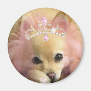 Imán perro de hadas de la princesa con la corona del
