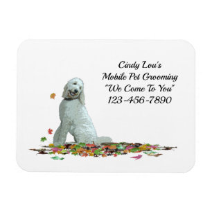 Imán Perro De Labradoodle En Hojas De Magnet Flexible