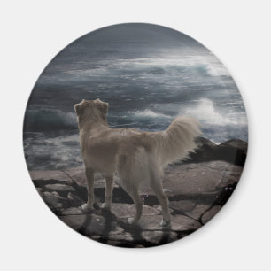 Imán Perro de mar