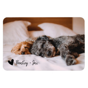 Imán Perro de Mascota de fotografías completas Simpl M