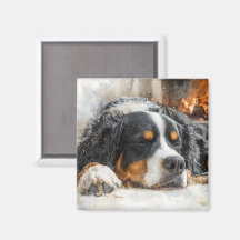 Perro de montaña bernés