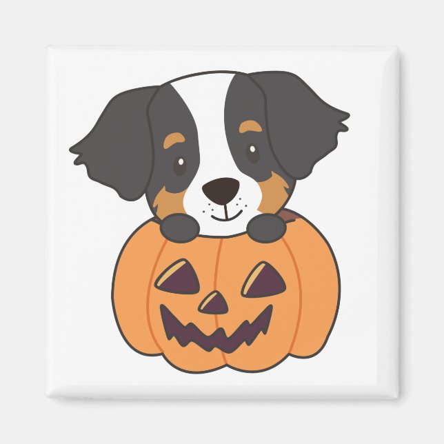 Imán Perro de montaña de Berna en la Calabaza Perros Ha (Frente)